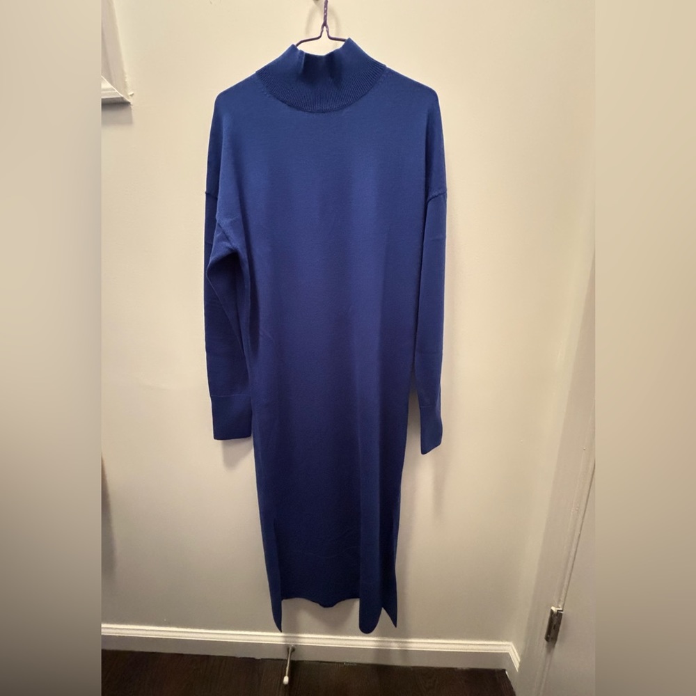 COS Merino Wool Turtleneck Dress